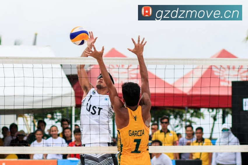 巅峰国际app注册登录平台生态图